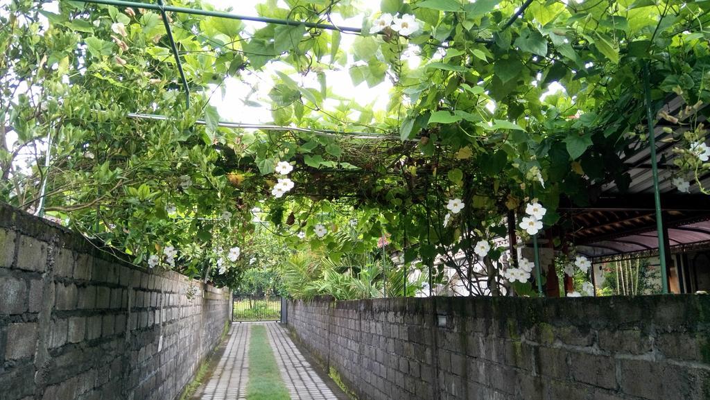 木利亚民宿 努沙杜瓦 外观 照片